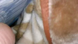 sexy nach0s: baise rapide dans coquine vieille la cuisine avec creampie.